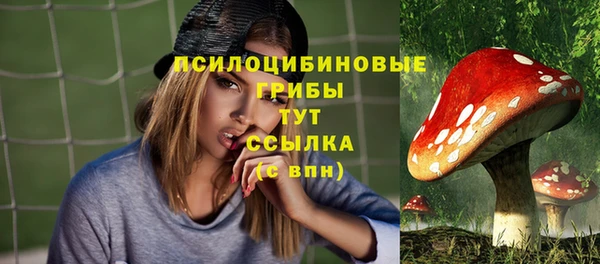 дмт Армянск