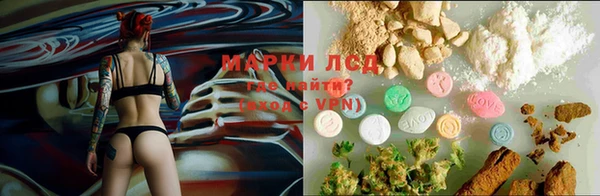 хмурый Алзамай
